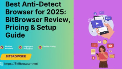 BitBrowser 2025 Review